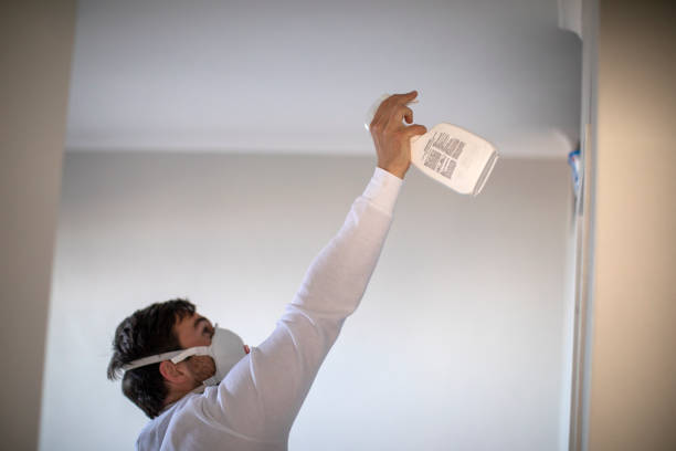 Best Home Mold Removal  in East Hazel Crest, IL