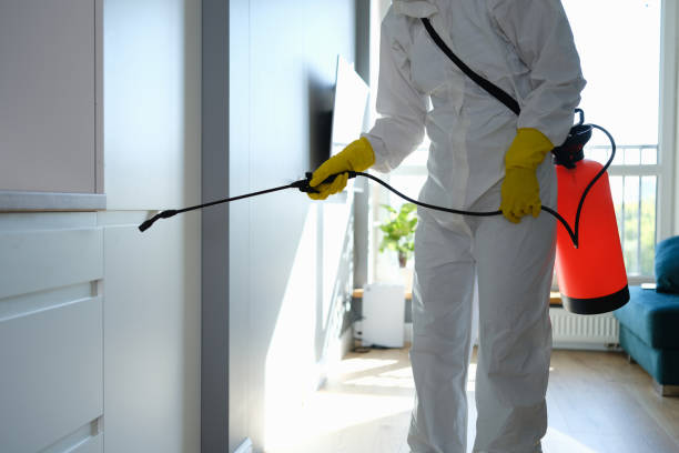 East Hazel Crest, IL Mold Removal Company