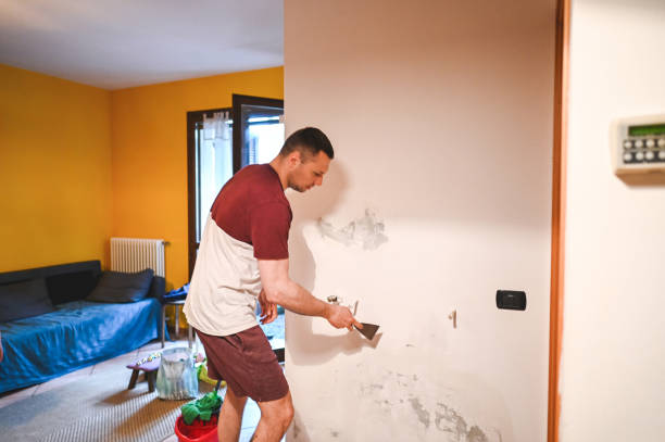 Best Fast Mold Removal  in East Hazel Crest, IL